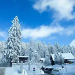 Apartment H&p Touristik Residenz Grafenmatt Gra-3-1 *