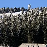 H&p Touristik Residenz Grafenmatt Gra-3-1 Apartment
