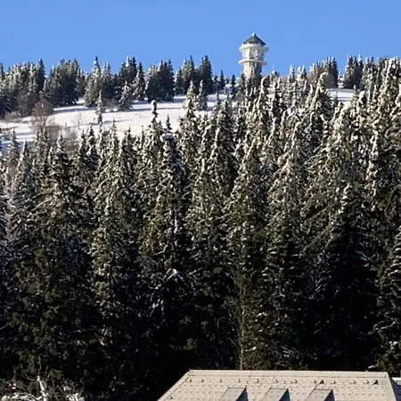 H&p Touristik Residenz Grafenmatt Gra-3-1 アパート