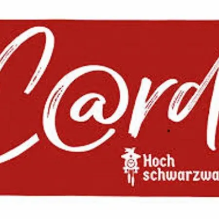 H&p Touristik Residenz Grafenmatt Gra-3-1 Apartment Feldberg (Baden-Wurttemberg)